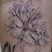 Tattoos - flowering garlic bulb - 28813